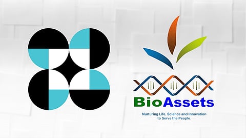 Pinoy diagnostic tools boost fight vs African swine fever