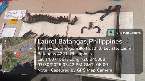 PNP: No DNA match from Taal Lake bones