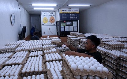 Group eyes cage-free tracker in October