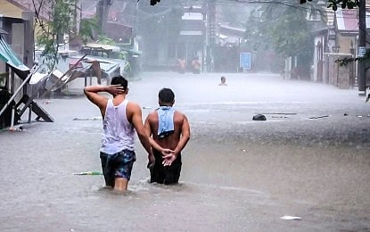 QC alarmed over rising ‘lepto’ cases