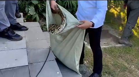 A snake found its way to a member of the Philippine Air Force who was part of the delegation accompanying President Ferdinand Marcos Jr. in his departure honors for his state visit to India on Monday.