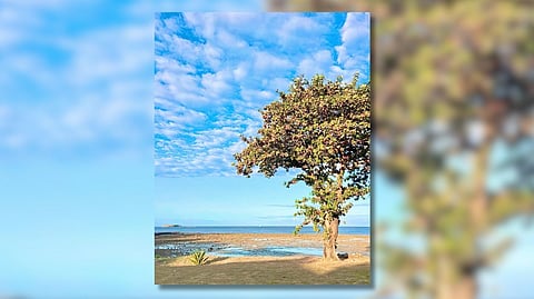 Destination: Nasugbu, Batangas