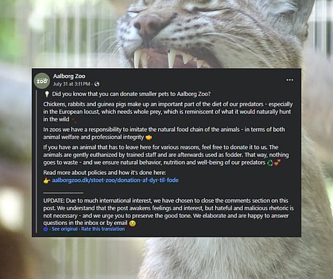 Danish zoo calls for small pet donations as animal food