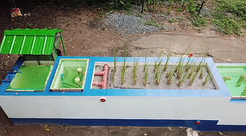 The patented system, known as the Phyto-Vortex method, operates through three integrated stages that cleans the wastewater.