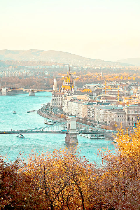 A free degree in a city that looks like opera. Education in Hungary: cheap, English-speaking, internationally recognized and located right in Europe’s brainstem. 