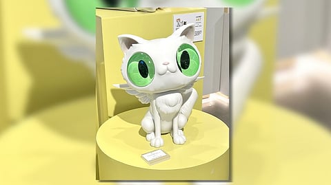 PHOTOGRAPHS by pauline songco for dialy tribune
