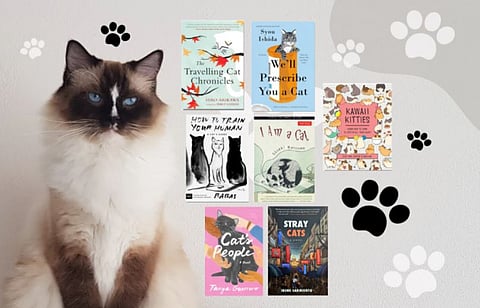 A cat book a day keeps the blues away.