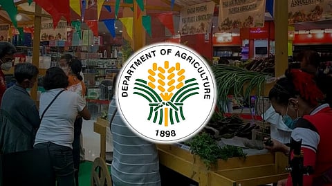 Bigger budget, policy reforms to boost DA competitiveness