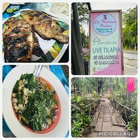 Freshness is key in La Paloma