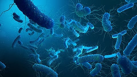 NYC Legionnaires’ disease outbreak kills 5