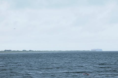 NEW YORK, NEW YORK - AUGUST 20: A person swims in Brighton Beach amid Hurricane Erin on August 20, 2025 in the Coney Island neighborhood of the Brooklyn borough in New York City. NYC Mayor Eric Adams and Iris Rodriguez-Rosa, the parks commissioner, announced that city beaches would be closed for several days as rip currents and rough waters are expected along the East Coast due to Hurricane Erin. Lifeguards will not be on duty during the closures but will be stationed along the coastline along with members of the Parks Enforcement Patrol to prevent people from attempting to swim. 