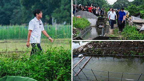 Where’s the wall? What could have significantly improved the province’s irrigation system was nowhere to be found when President Ferdinand ‘Bongbong’ Marcos Jr. made an inspection of a riverwall project in Barangay Piel, Baliuag, Bulacan. Despite records showing a completed 220-meter project worth P55 million, Marcos found that no actual work had been done even as the Department of Public Works and Highways had reported the project as finished. Marcos was not merely disappointed, but ‘very angry’ over these ‘ghost projects.’