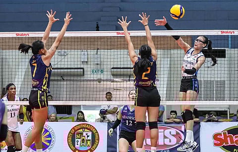 SHAINA Nitura of Adamson attacks the defense of two USPF blockers during their 2025 SSL National Invitationals Cebu Leg at the Mandaue Sports Complex on Saturday. The Lady Falcons won, 25-15, 25-10, 25-16.
