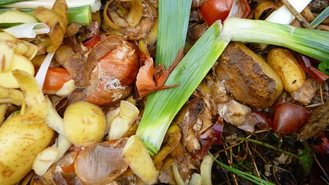 Baguio eyes modular cold storage