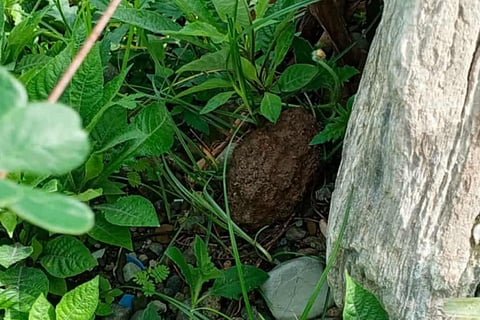Isang lumang bomba ang natagpuang sa may Barangay Siclong nitong Agosto 23, 2025. 