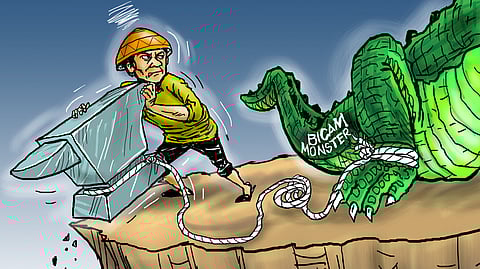 Deluge, bicam’s monster