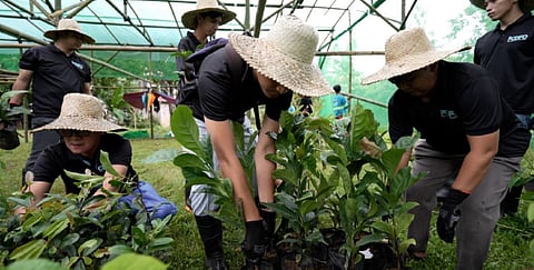 Ahunan Power, Prime Infra launch reforestation drive in Laguna
