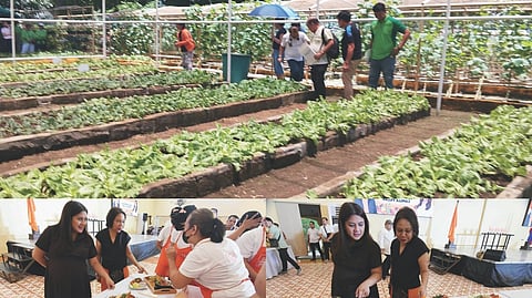 From garden to plate: Villar Foundation Champions sustainability at the 10th urban gardening and cooking competition