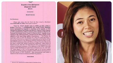 Former FDCP Chair Liza Diño Seguerra