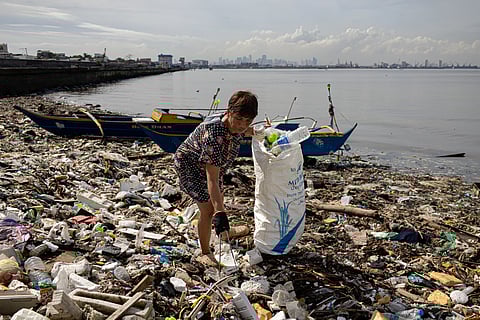 𝗖𝗟𝗘𝗔𝗡 𝗦𝗪𝗘𝗘𝗣 𝗙𝗢𝗥 𝗠𝗔𝗡𝗜𝗟𝗔 𝗕𝗔𝗬 
Volunteers, coastal residents, and climate advocates led by the Earth Island Institute Asia-Pacific joined forces for a clean-up drive along the shores of Navotas City on Saturday, 13 September 2025, ahead of International Coastal Clean-Up Day. 