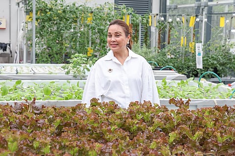 Legarda chairs Senate defense committee
