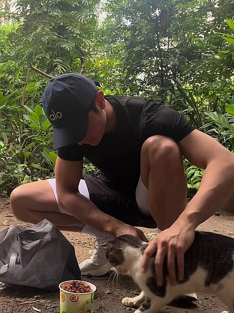 Actor Joseph Marco in one of his candid stray cat feeding day