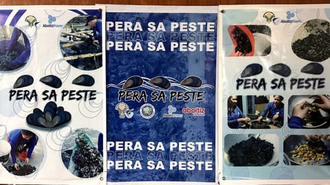 The Bureau of Fisheries and Aquatic Resources – National Brackishwater Fisheries Technology Center (BFAR-NBFTC), Fisheries Iringan Samahan sa Hanapbuhay and Aboitiz subsidiary Therma Luzon, Inc. have officially turned over the Peste Phase II Project to the Oyster Growers Association of Pagbilao (OGAP) of Pagbilao, Quezon Province.