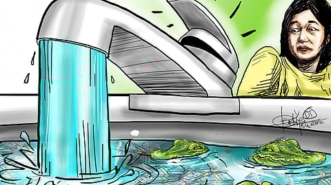 Untouchable budget queen?