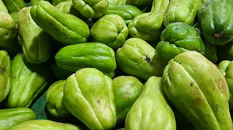 ‘Formalin’ inside Baguio 
sayote a hoax, says DA