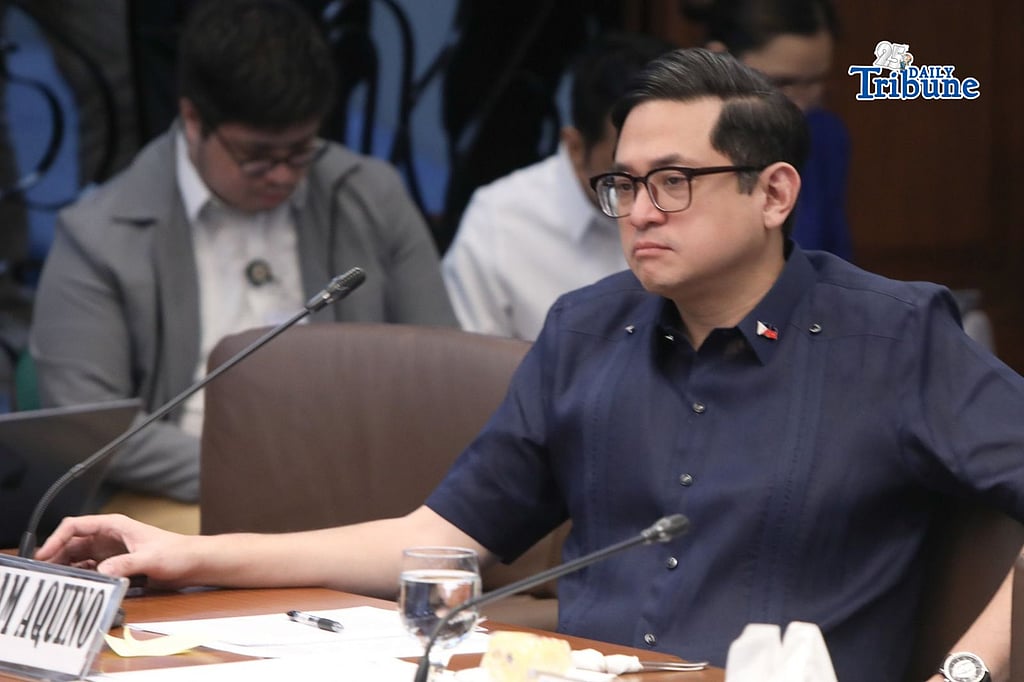 Bam to DPWH: Bare ghost, substandard flood control projects