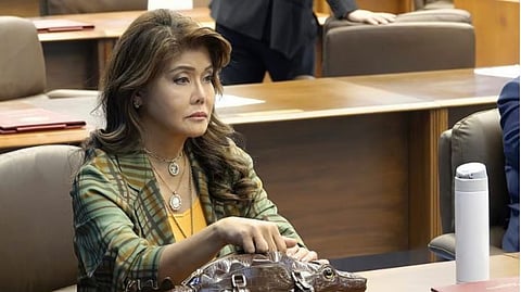 Temu Synthetic Leather Crocodile-Shaped Bag (P2,306)