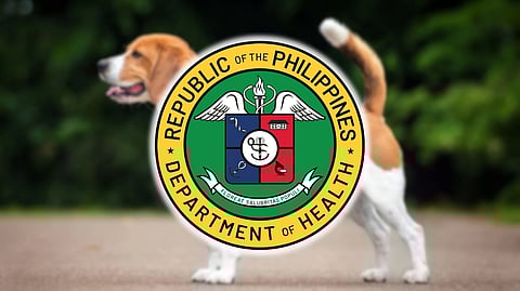 DoH pushes rabies awareness