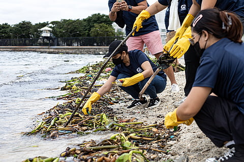 Around 4,000 volunteers pick up trash floating in and around the dolomite beach in Manila Bay on Saturday, 20 September 2025, in observance of International Coastal Clean-Up Day.