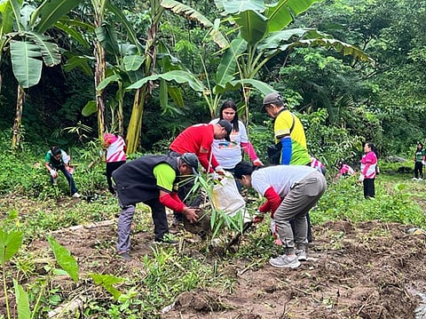 Volunteers from Aboitiz Group and partner communities plant bamboo along the Mananga River in Cebu, marking the start of the Aboitiz Foundation’s journey to 10 million trees under its CarbonPH program.