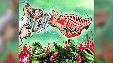 P1-T pork syndicated