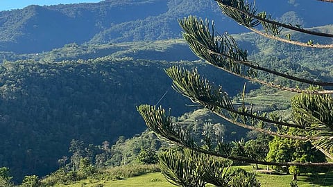 Destination: Bacolod City