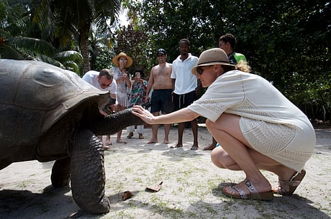 CAN Aldabra giant tortoise bring swing votes for Seychelles’ presidential contender Patrick Herminie? 