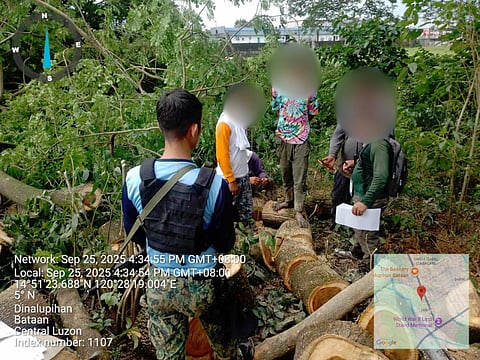 LOGGING ARRESTS | Law enforcement personnel oversee the confiscation of illegally felled trees and the arrested individuals during an operation against environmental crimes in Dinalupihan, Bataan, September 25, 2025. | Franco Regala