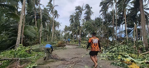 WORKERS start clearing operations after tropical storm ‘Opong’ toppled trees and electric posts in Northern Samar.