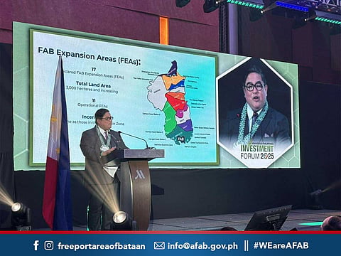 The Freeport Area of Bataan (FAB) is eyeing to shift to 100% renewable energy mix within the industrial zone. 