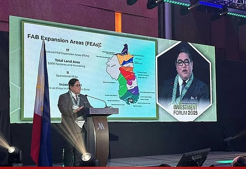 Bataan Freeport eyes 100% renewable energy