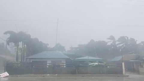 Typhoon 'Matmo' lashes southern China