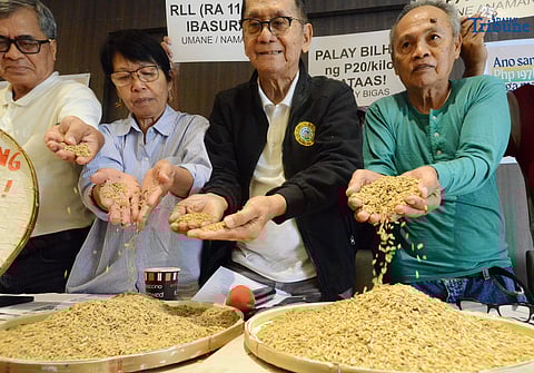 (October 07 2025)  On Tuesday October 7 2025, Kilusang MagbubuKid ng Pilipinas KMU with farmers Nueva Ecija, Bulacan, and Laguna called a press-conference to push for P20 floor price on fresh unhusked rice or palay held in Quezon City.  Photo/Analy Labor 