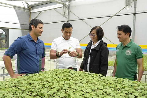 Bulacan Governor Daniel R. Fernando visits the Metro Pacific Fresh Farms (MPFF) in San Rafael, Bulacan recently with (from left) MPFF Farm Operations Manager Itamar Vilan, Provincial Agriculturist Ma. Gloria SF. Carrillo, and Metro Pacific Agro Ventures (MPAV) Chief Project Officer Jose Manuel Mapa.