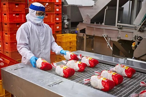 A Bounty Fresh plant worker upholding the company's rigid safety and quality standards. (Photo courtesy of BDO/Bounty Fresh)