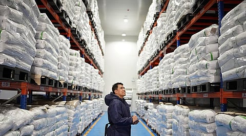 Ayala’s Artico Cold Chain powers the green shift