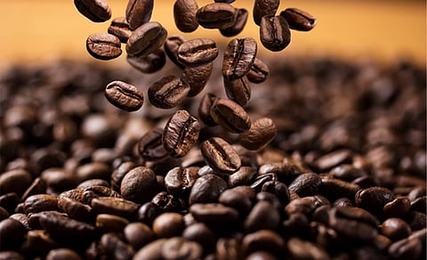 Coffee Board seeks P50-M research institute fund