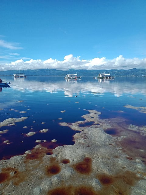 Wastewater from the lagoon wall of the URC Bais Distillery has spilled over towards the waters of the Sea of Manjuyod in Negros Oriental, resulting in the darkening of the water. The spillage of wastewater occurred due to earthquake-induced cracks, disturbing the marine life in the area.