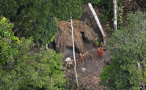 Isolated indigenous peoples face extinction