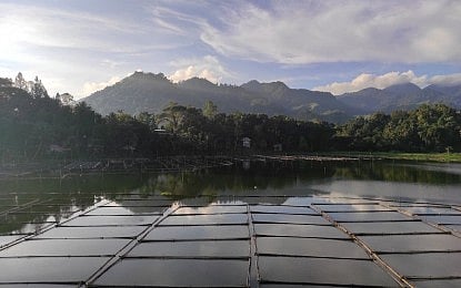 South Cotabato probes Dolefil’s alleged tree cutting in Lake Sebu